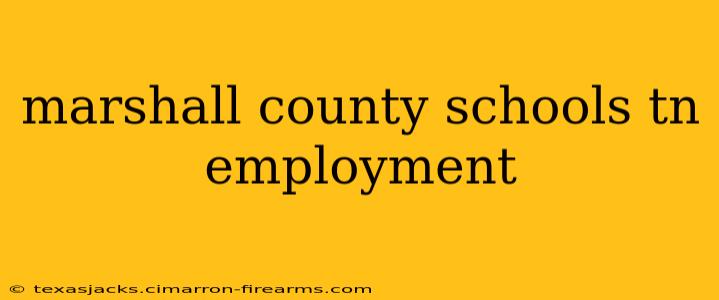 marshall county schools tn employment