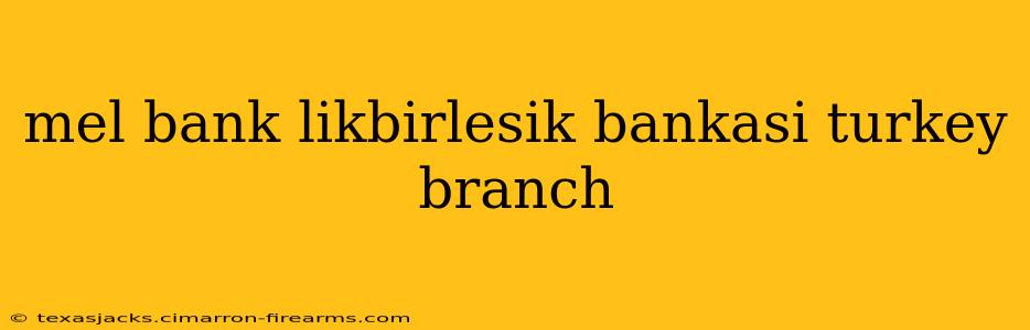 mel bank likbirlesik bankasi turkey branch