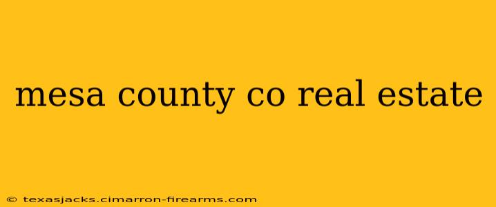 mesa county co real estate