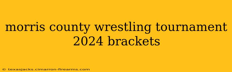 morris county wrestling tournament 2024 brackets