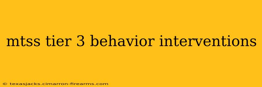 mtss tier 3 behavior interventions