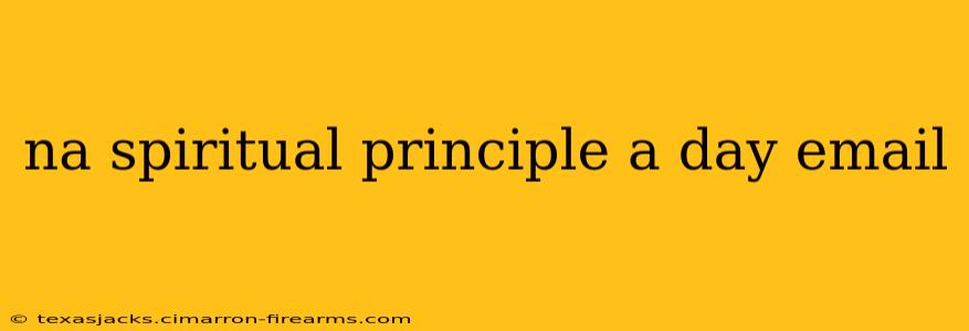 na spiritual principle a day email