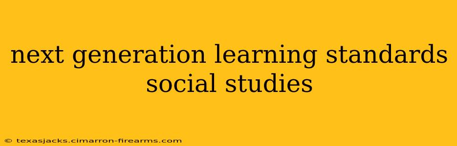 next generation learning standards social studies