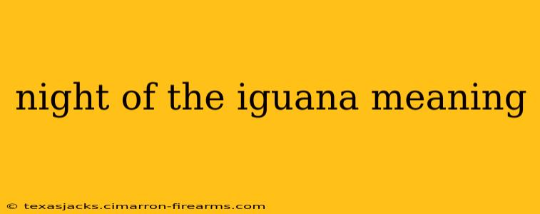 night of the iguana meaning