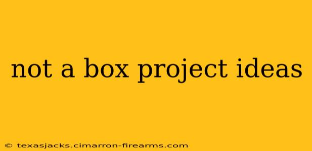 not a box project ideas