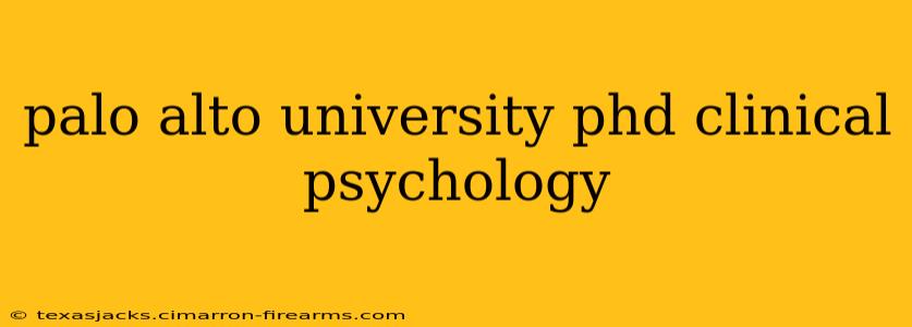 palo alto university phd clinical psychology