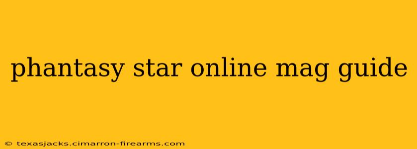 phantasy star online mag guide