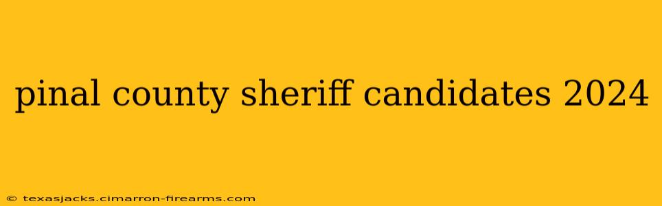 pinal county sheriff candidates 2024