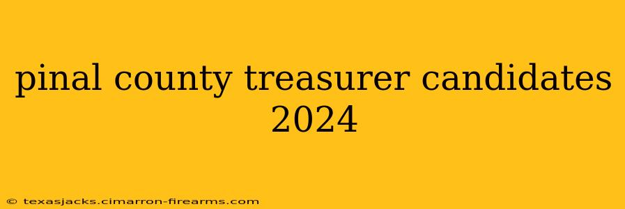 pinal county treasurer candidates 2024