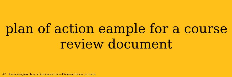 plan of action eample for a course review document