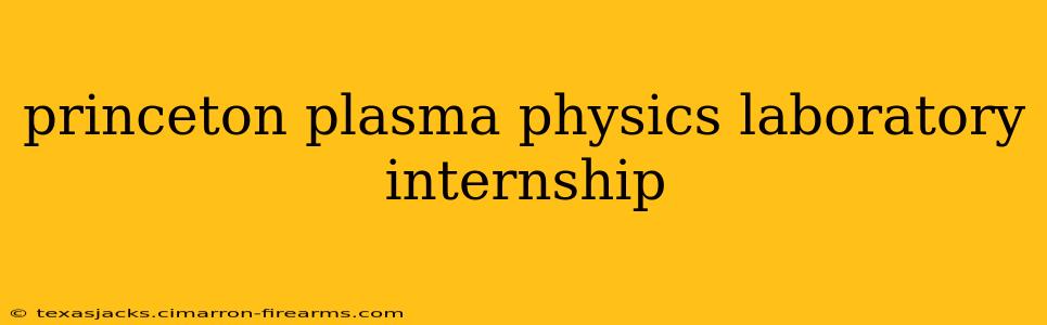 princeton plasma physics laboratory internship