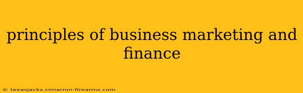 principles of business marketing and finance