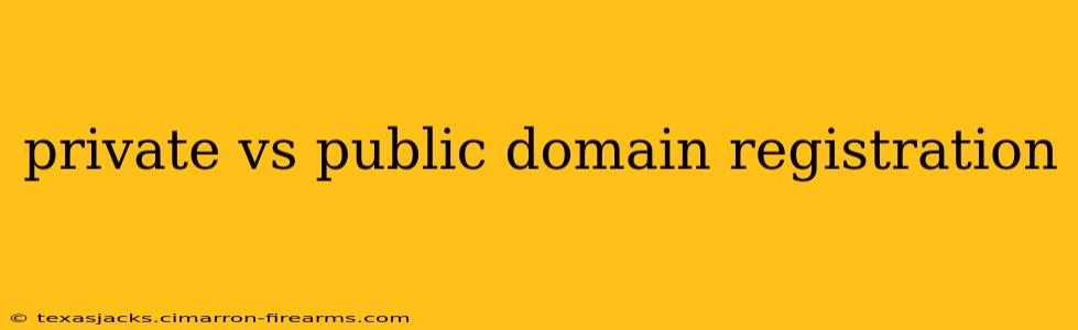 private vs public domain registration