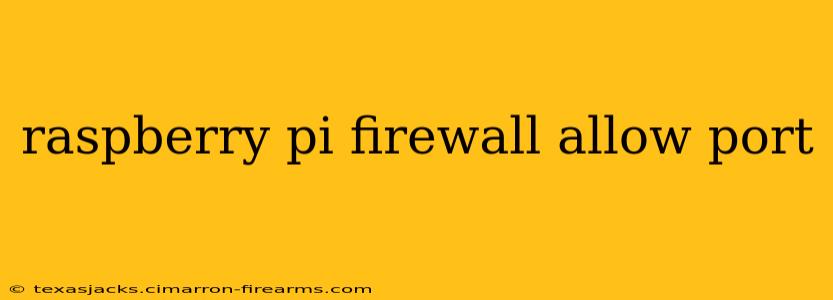 raspberry pi firewall allow port