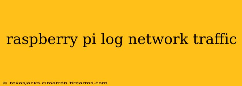 raspberry pi log network traffic