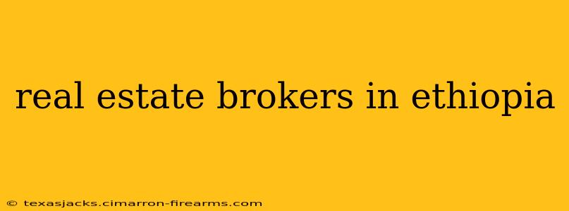 real estate brokers in ethiopia