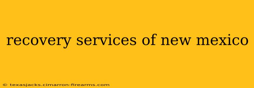 recovery services of new mexico