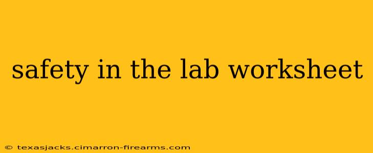 safety in the lab worksheet