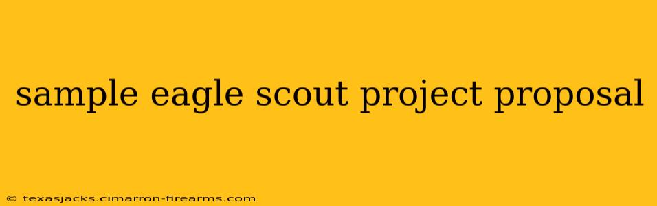 sample eagle scout project proposal