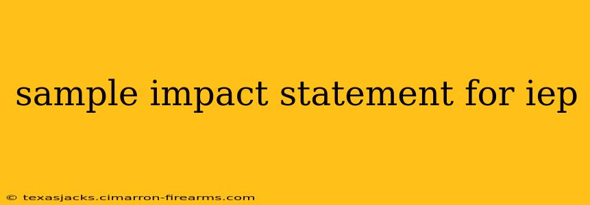 sample impact statement for iep