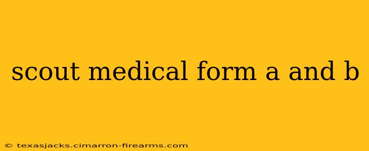 scout medical form a and b