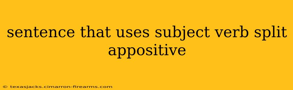 sentence that uses subject verb split appositive