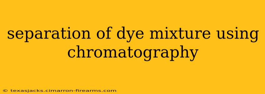 separation of dye mixture using chromatography