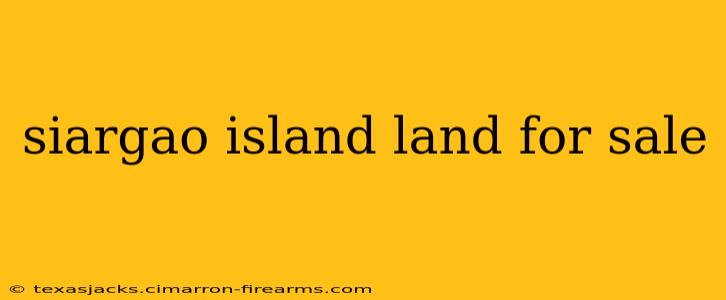 siargao island land for sale