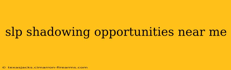 slp shadowing opportunities near me