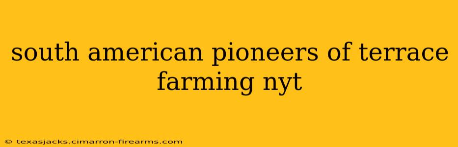 south american pioneers of terrace farming nyt