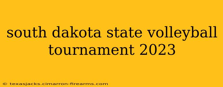 south dakota state volleyball tournament 2023