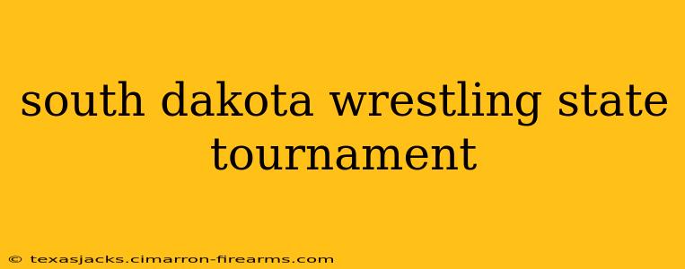 south dakota wrestling state tournament