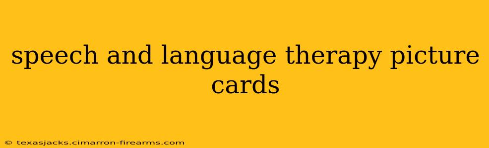 speech and language therapy picture cards