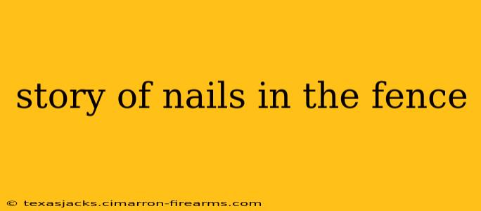 story of nails in the fence