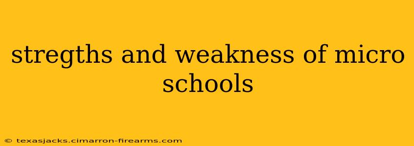 stregths and weakness of micro schools