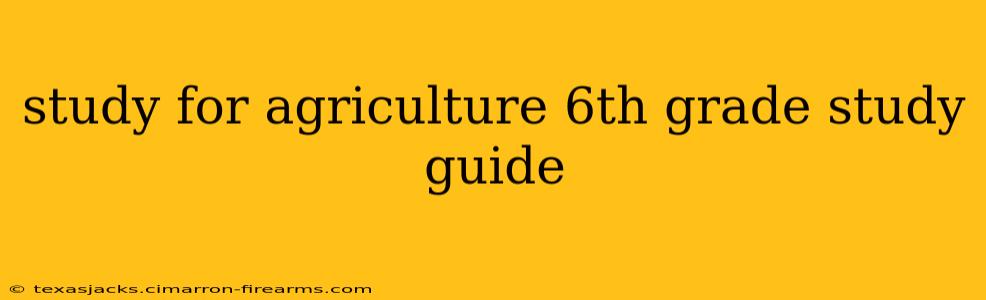 study for agriculture 6th grade study guide