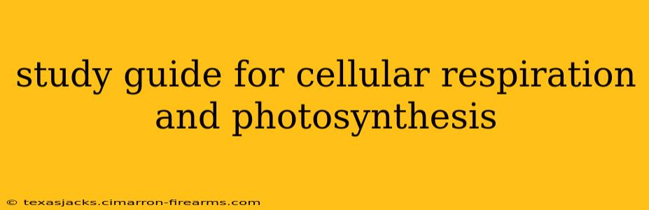 study guide for cellular respiration and photosynthesis