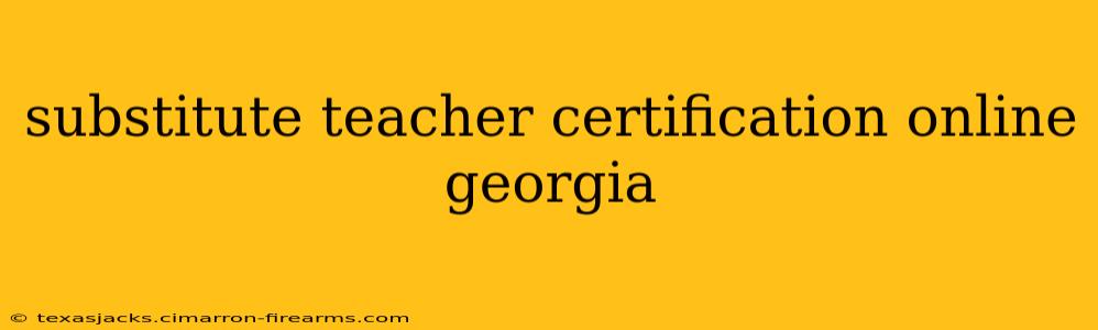 substitute teacher certification online georgia