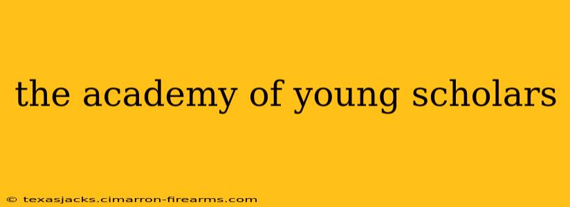 the academy of young scholars