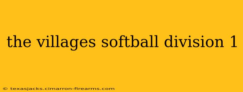 the villages softball division 1