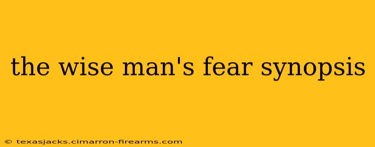 the wise man's fear synopsis