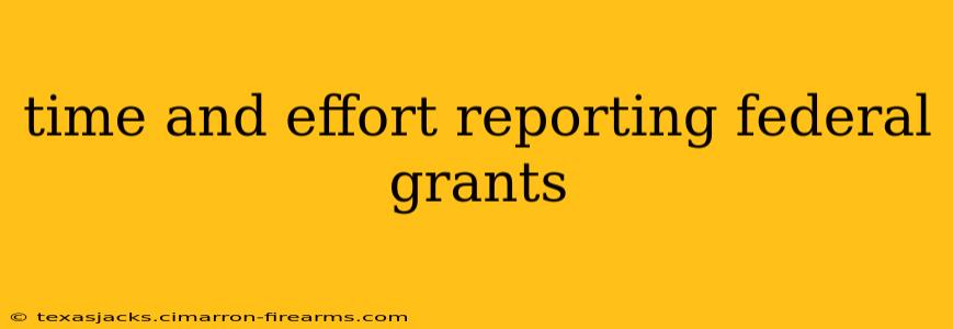 time and effort reporting federal grants