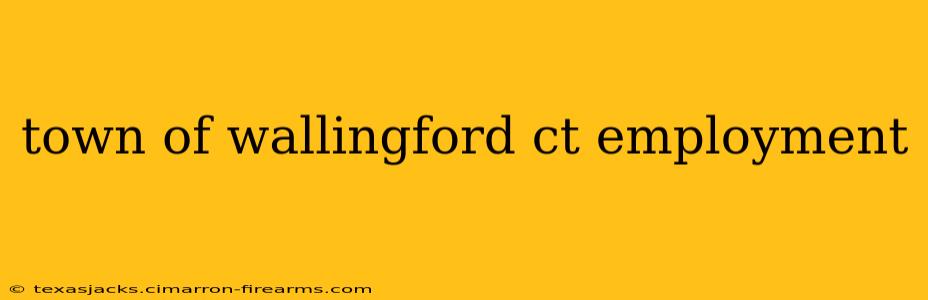 town of wallingford ct employment