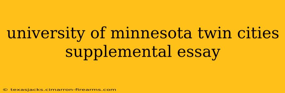 university of minnesota twin cities supplemental essay