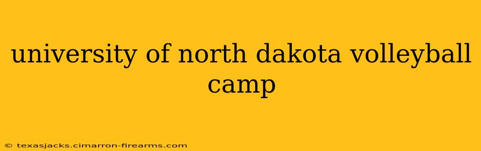 university of north dakota volleyball camp