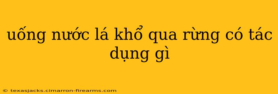 uống nước lá khổ qua rừng có tác dụng gì