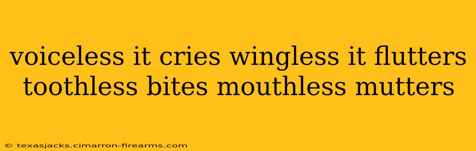 voiceless it cries wingless it flutters toothless bites mouthless mutters