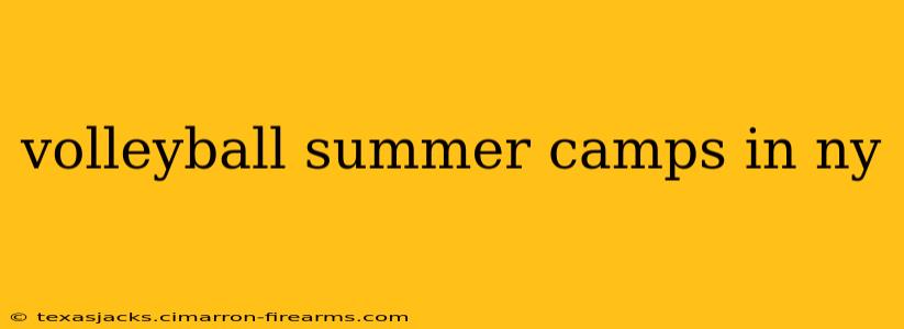 volleyball summer camps in ny