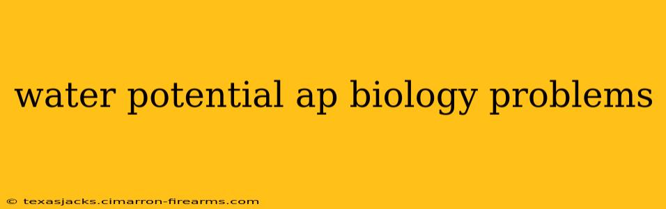 water potential ap biology problems