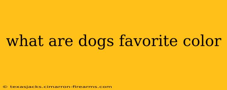 what are dogs favorite color